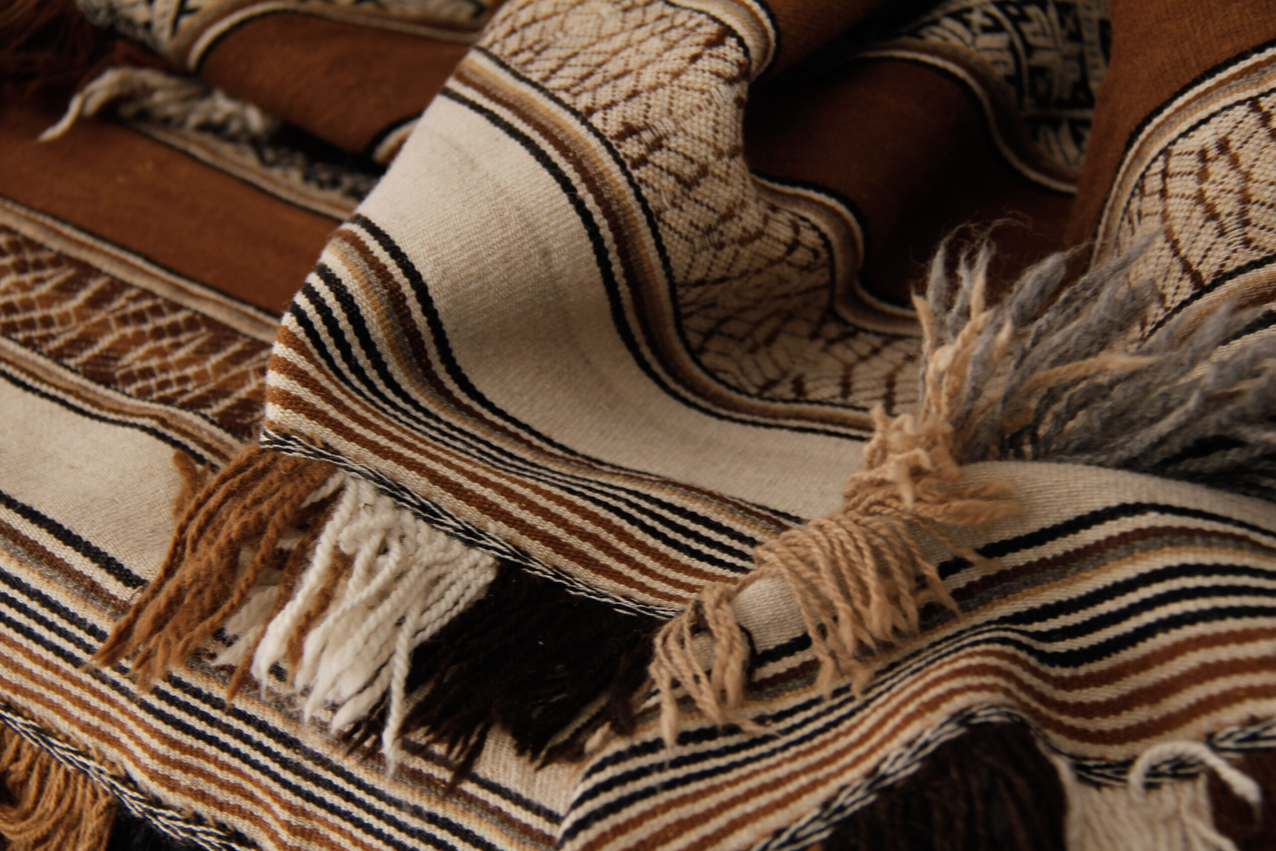 Travel To South America In January 1 MG 6342 scaled