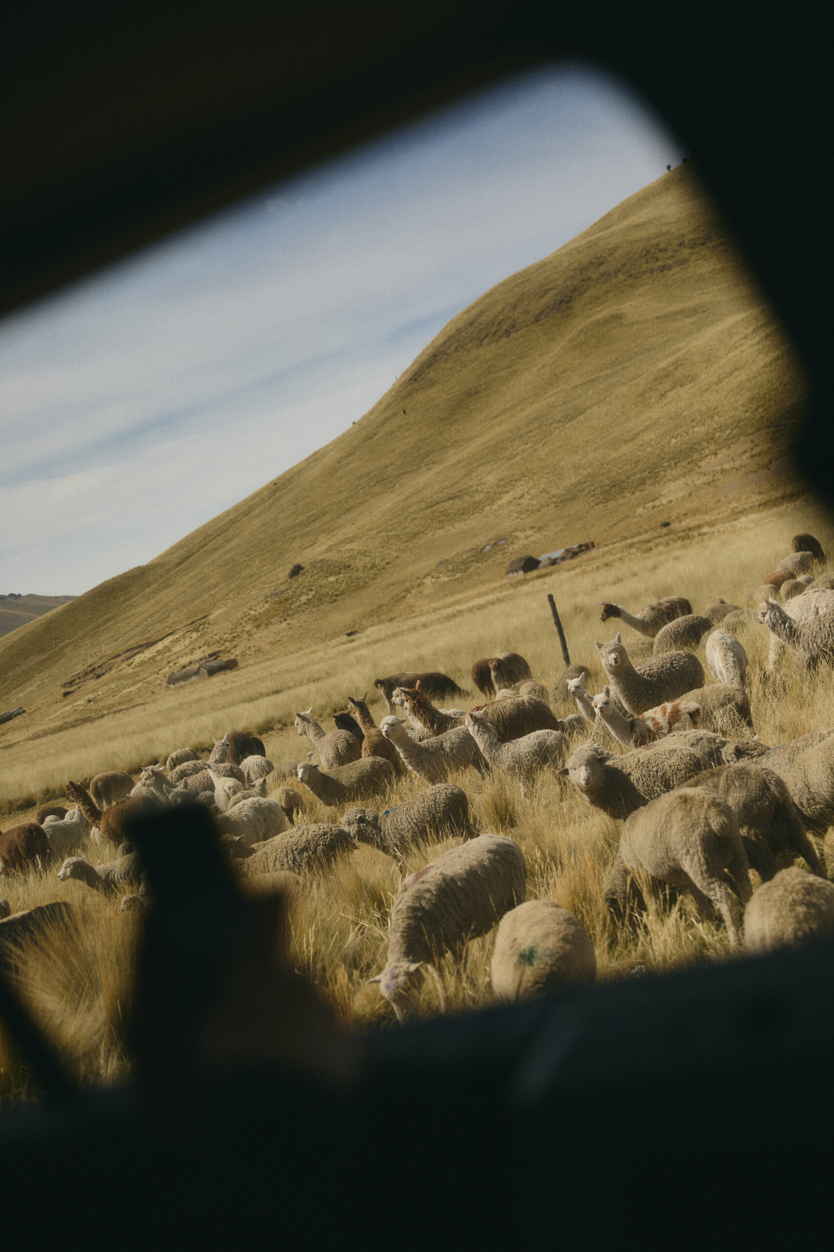 Travel To South America In May 1 TNJ 39 scaled