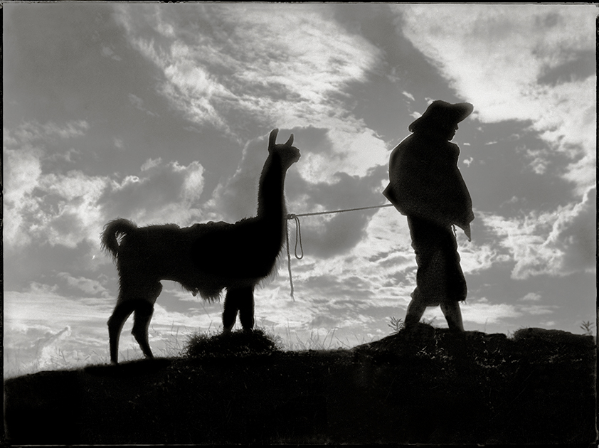 Aracari Gallery 2 The llama and the llana herder