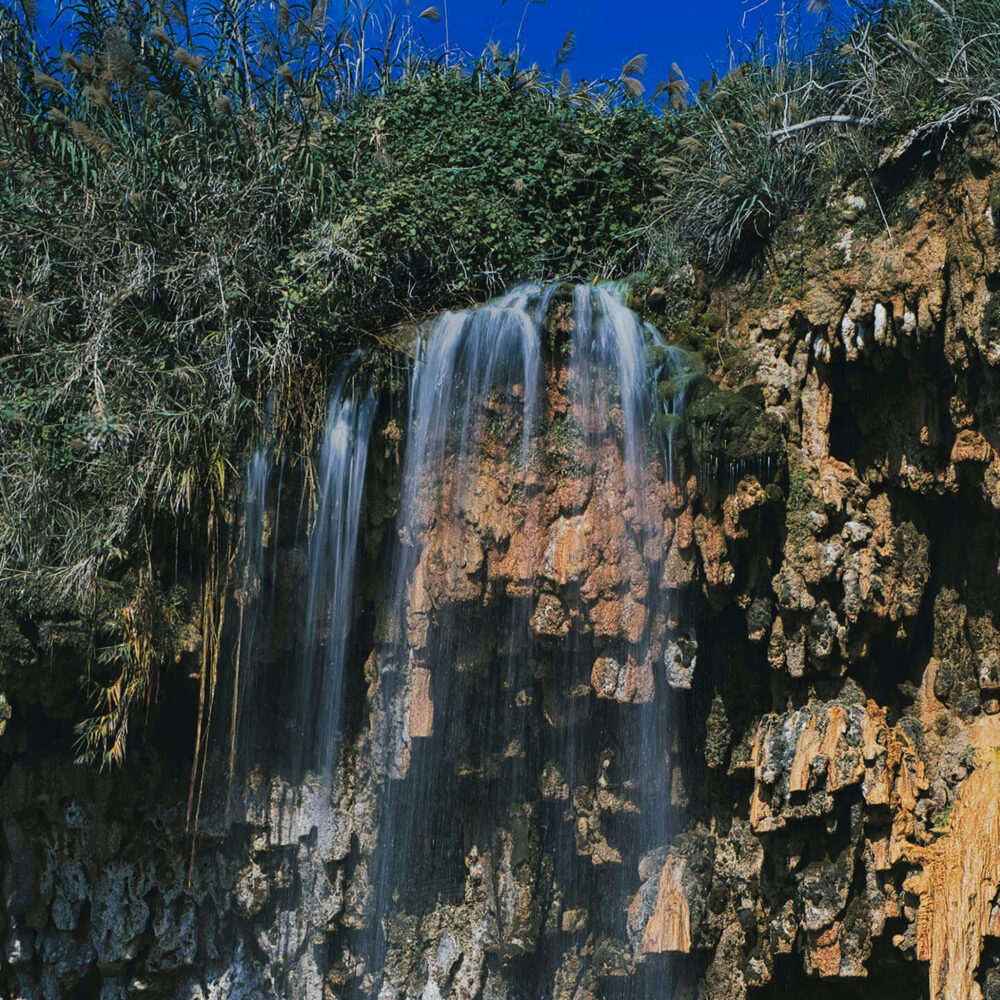 The Deeper &Amp; Different Collection 6 dd bahuaja sonene national park
