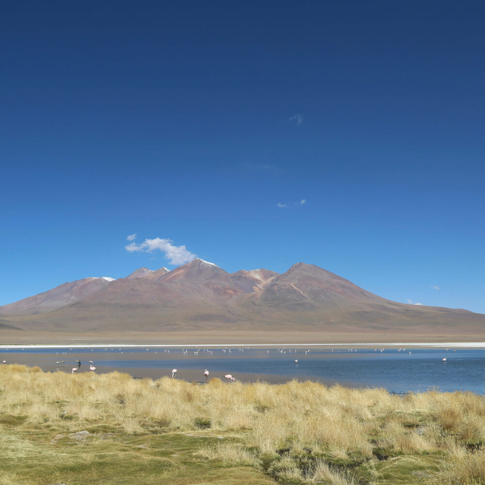 The Deeper &Amp; Different Collection 3 dd laguna de los condores