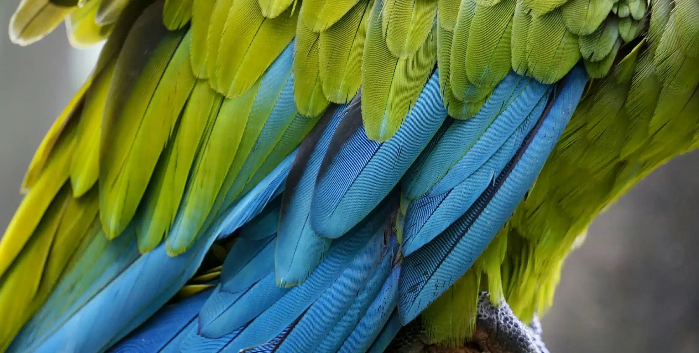 Your Luxury Travel Specialist For Peru And South America 1 home hero