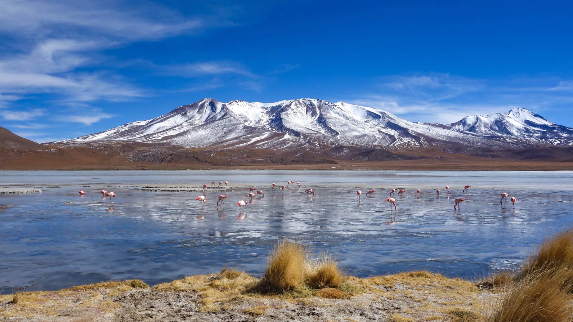 Viajes de Lujo en Perú, Bolivia y Galápagos, Aracari Travel